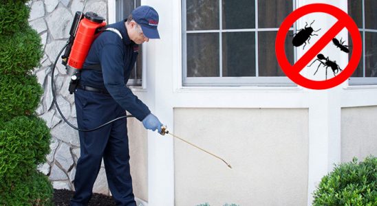 Doğanşar Bit İlaçlama böcek ilaçlama ve haşere kontrolü — ilaclama-tr.com